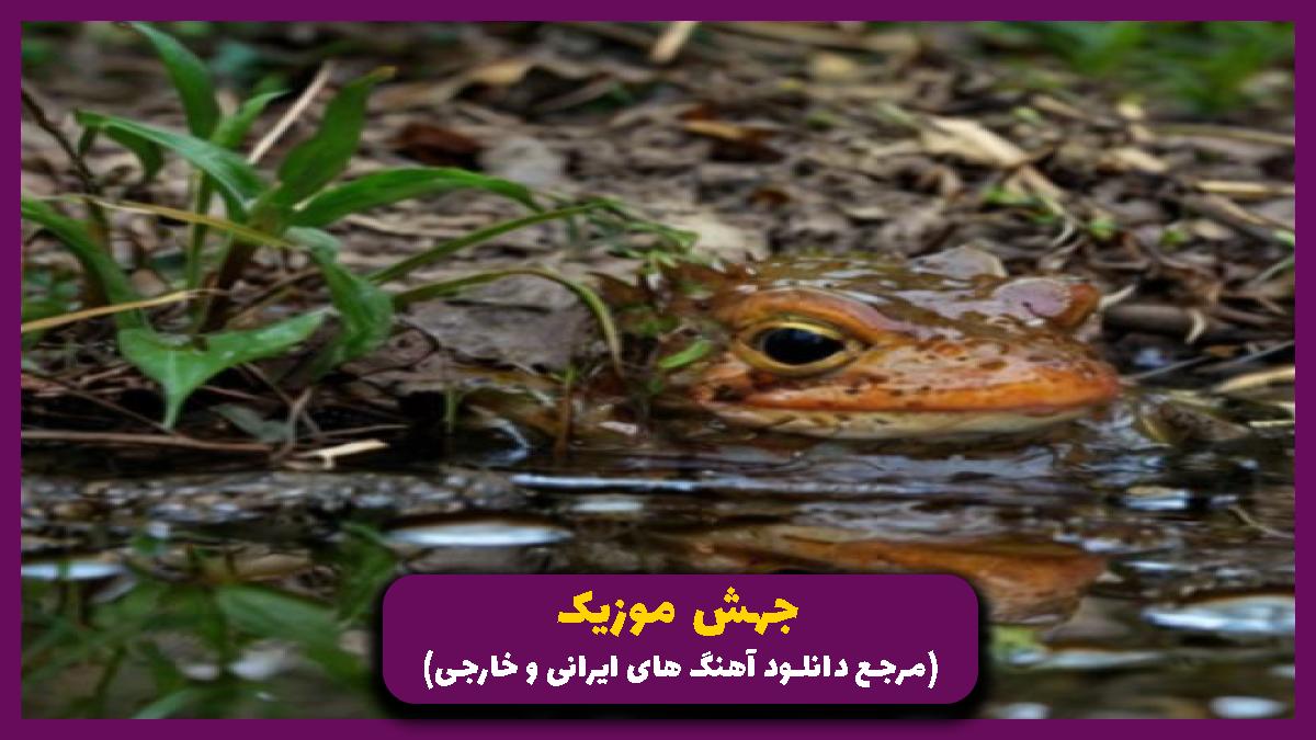 دانلود آهنگ نرو نرو (نرو نرو نذار تنها بمونم بی تو) از علی عبدالمالکی